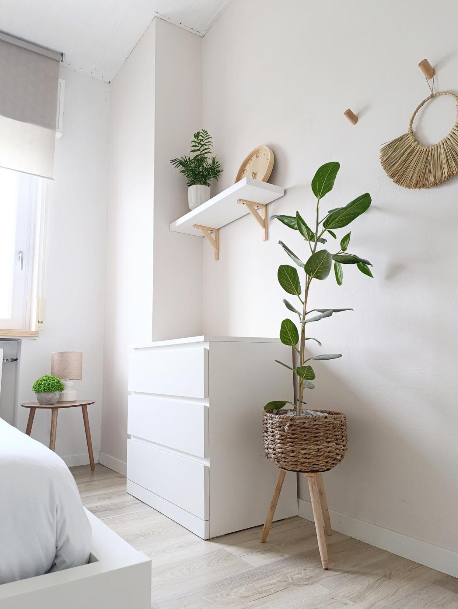 Kasakiwi Apartment Vicenza Eksteriør bilde